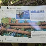 Quinault Rain Forest Nature Trail, Washington - 1,086 Reviews, Map ...