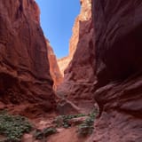 Red Rock Trail with Walatowa Slot Canyon, New Mexico - 214 Reviews, Map ...
