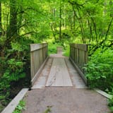 Whipple Creek Park Loop Trail, Washington - 1,861 Reviews, Map | AllTrails