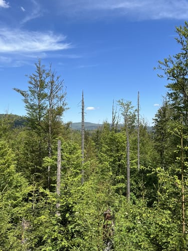 Rundweg Haselhuhn - Steinreiche Tour im Felswandergebiet
