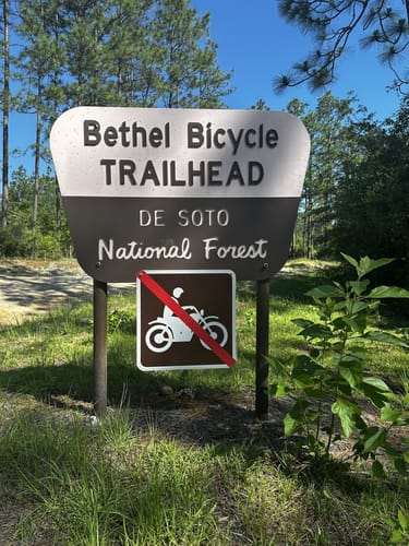 Photos of Bethel Mountain Bike Trail Mississippi AllTrails