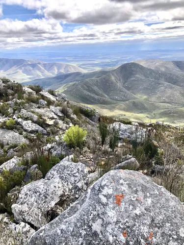 George (given name) visual data 3