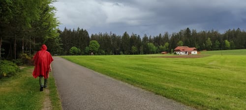 Auerhahnweg (Genießerpfad)