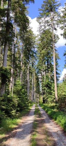 ParadiesTour Unteres Glasbachtal