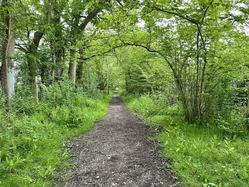 Best paved trails near me discount