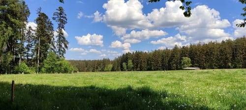 ParadiesTour Unteres Glasbachtal