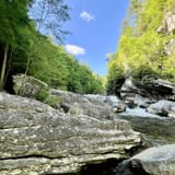 Conley Cove Trail 229 North Carolina 332 Reviews Map AllTrails