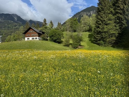 Oberstdorf - Hahnenköpfle - Oytal