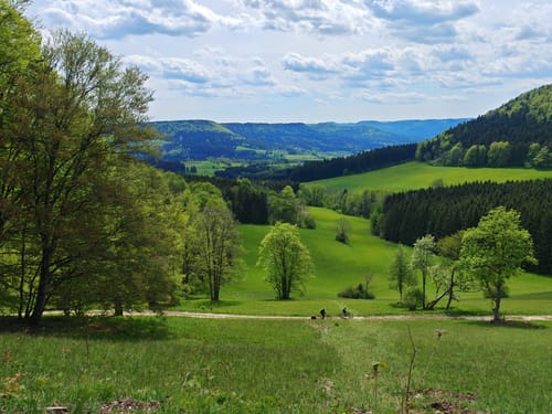 Wiesenrunde (Premiumwanderweg)