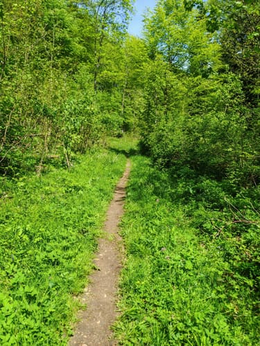 Wiesenrunde (Premiumwanderweg)