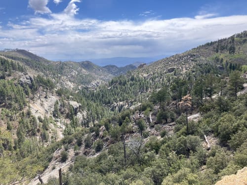 Sunset trail camp sales