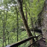 Cedar Sink Trail, Kentucky - 975 Reviews, Map | AllTrails
