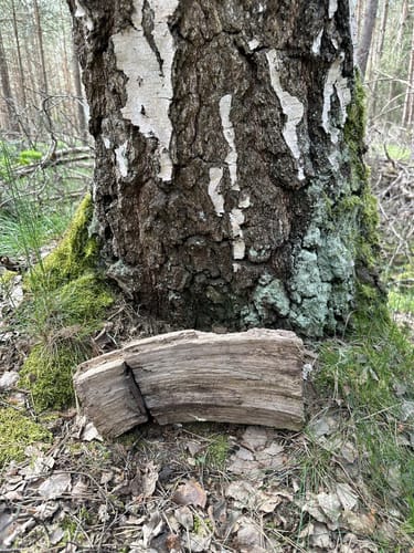 Ostheide Runde bie Grußendorf