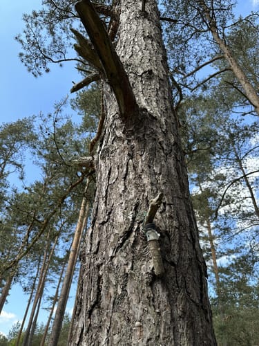 Ostheide Runde bie Grußendorf