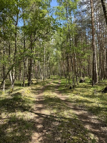 Ostheide Runde bie Grußendorf