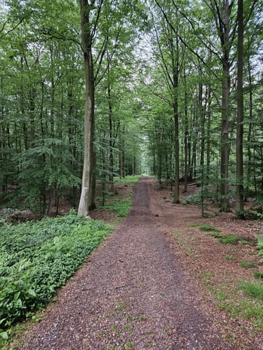 Sonsbeck Rundweg A5