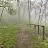 Sand Cave and White Rocks via Ewing Trail, Virginia - 1,195 Reviews ...