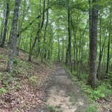 Sand Cave and White Rocks via Ewing Trail, Virginia - 1,195 Reviews ...