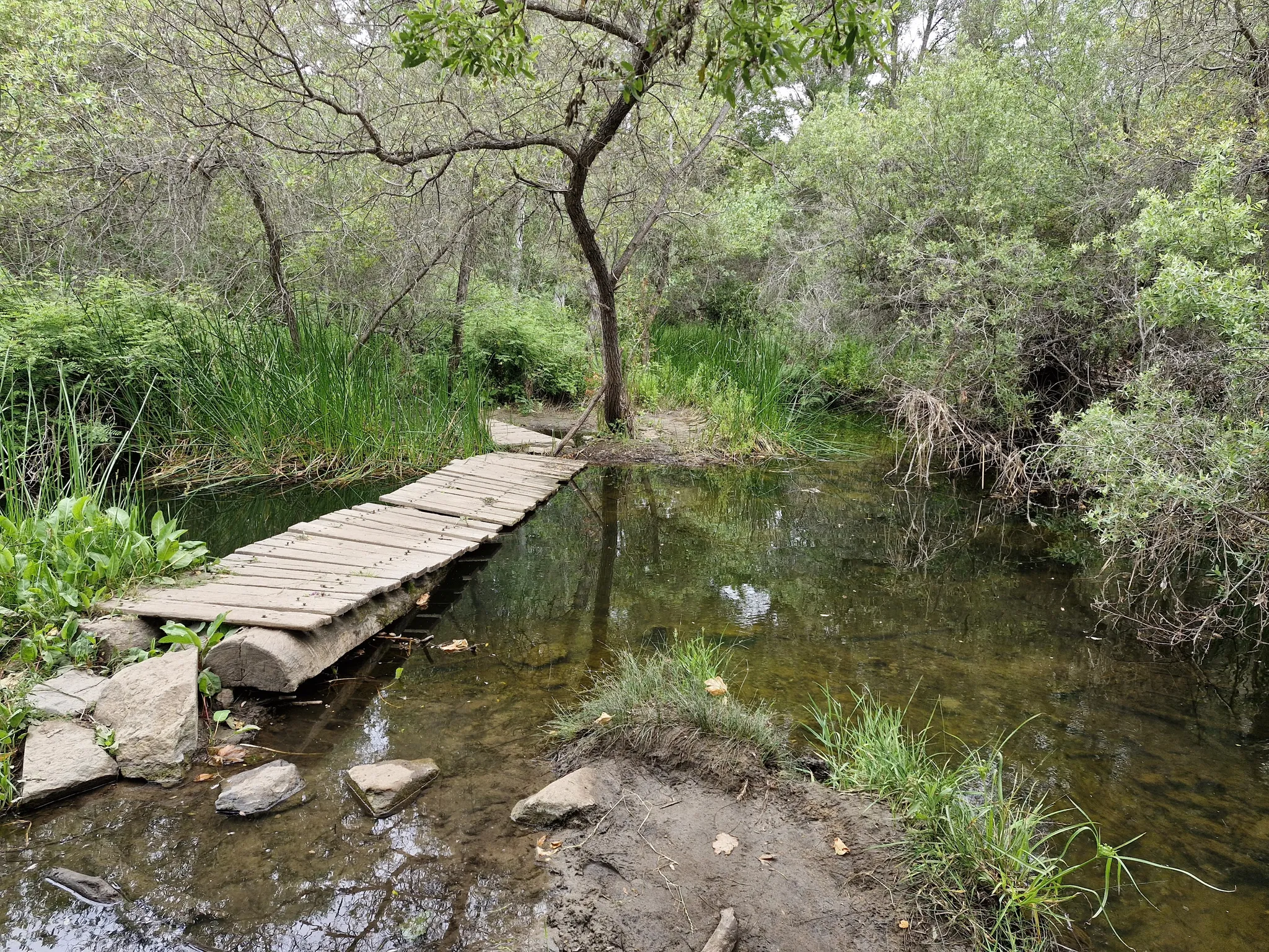 Photo of a trail from Wonwoo Seo with title Penasquitos Falls Extended Loop