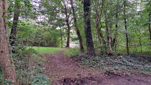 Radbruch Hohes Holz