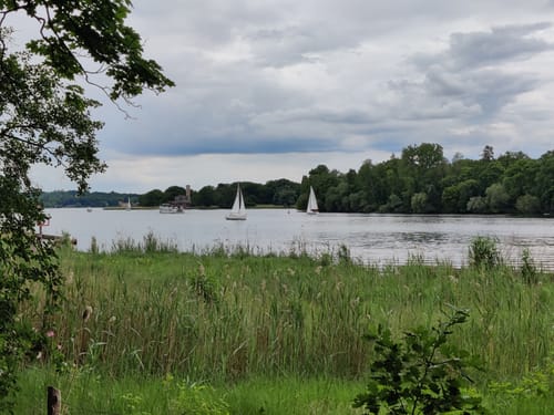 Durch den Düppeler Forst zum Forsthaus Moorlake