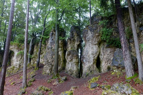 Lichtenegg - Wurmrausch - Fürnried
