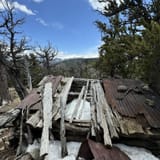 Saxon Mountain Summit Trail, Colorado - 164 Reviews, Map | AllTrails