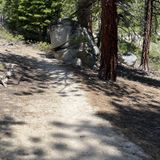 Spooner Lake Trail, Nevada - 1,852 Reviews, Map | AllTrails