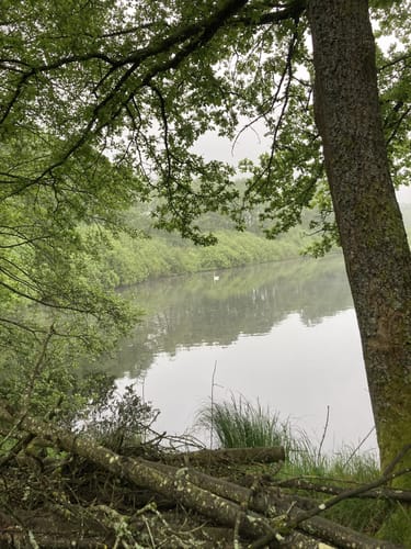 Wiedweg Etappe 1: Linden - Höchstenbach