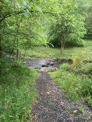 Wiedweg Etappe 1: Linden - Höchstenbach