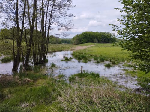 Neuenkirchener See - Boissower See