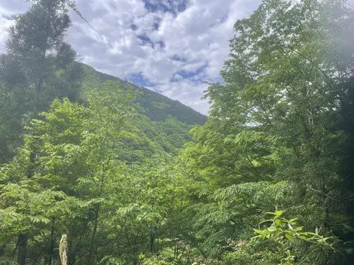竜の棲む山 Ryuodake - Rural Travels, Japan - Rexby
