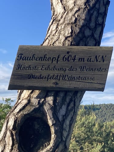 Maikammer Wanderparkplatz Breitenberg - Rundweg Nr. 1