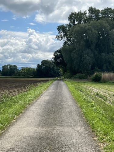 Rund um Kehl und Neumühl