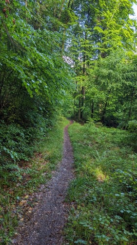Altmühltal-Panoramaweg Etappe 10: Kipfenberg - Kinding