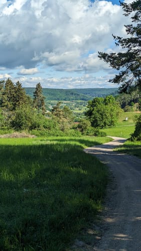 Altmühltal-Panoramaweg Etappe 10: Kipfenberg - Kinding