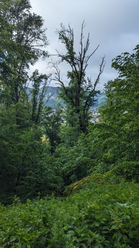 Altmühltal-Panoramaweg Etappe 10: Kipfenberg - Kinding