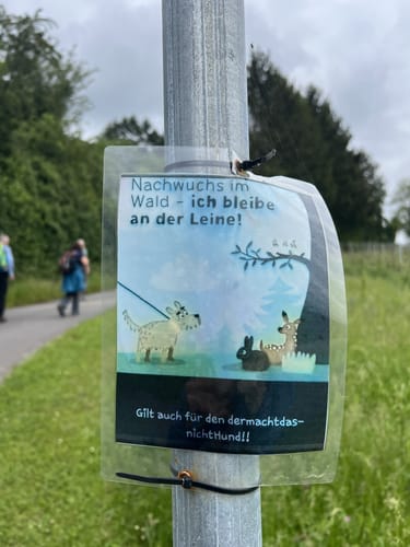 Fränkischer Rotwein Wanderweg Etappe 6: Großheubach - Bürgstadt