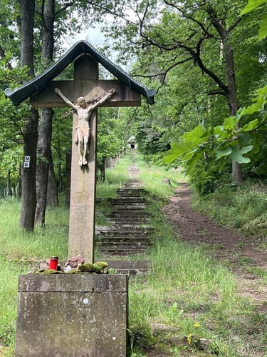 Fränkischer Rotwein Wanderweg Etappe 6: Großheubach - Bürgstadt