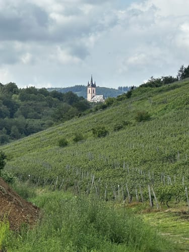 Rundweg Martinsthal