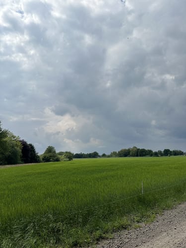 Darmstadter Jagdzeughaus zur Dianaburg