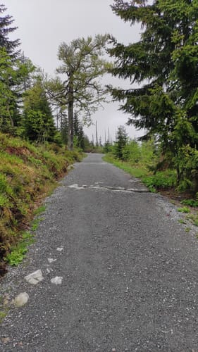 Lusen Rundweg ab Waldhäuser