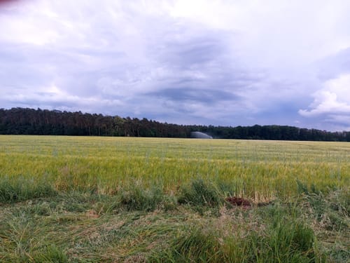 Cewe-Teich und Eisenzeithaus ab Burgdorf
