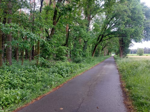 Cewe-Teich und Eisenzeithaus ab Burgdorf