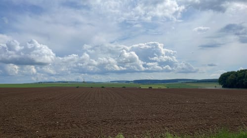 Erlenbach Höfe