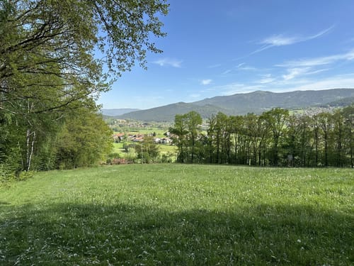 Zum Kolmstein