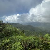 El Yunque Trail East Region Puerto - EyJidWNrZXQiOiJhc3NldHMuYWxsdHJhaWxzLmNvbSIsImtleSI6InVwbG9hZHMvcGhvdG8vaW1hZ2UvNzQ4MjYzMTUvODUzNDA5MWMyMTQ5ZDU2MDhmOTExNDkyYzBhNzAxODQuanBnIiwiZWRpdHMiOnsidG9Gb3JtYXQiOiJqcGVnIiwicmVzaXplIjp7IndpZHRoIjoxNjAsImhlaWdodCI6MTYwLCJmaXQiOiJjb3ZlciJ9LCJyb3RhdGUiOm51bGwsImpwZWciOnsidHJlbGxpc1F1YW50aXNhdGlvbiI6dHJ1ZSwib3ZlcnNob290RGVyaW5naW5nIjp0cnVlLCJvcHRpbWlzZVNjYW5zIjp0cnVlLCJxdWFudGlzYXRpb25UYWJsZSI6M319fQ==