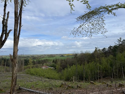Bergische 50 2023 - 50km