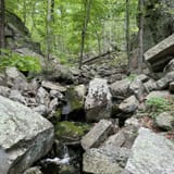 Devil's Den Preserve Trail, Connecticut - 563 Reviews, Map | AllTrails