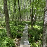 Devil's Den Preserve Trail, Connecticut - 563 Reviews, Map | AllTrails